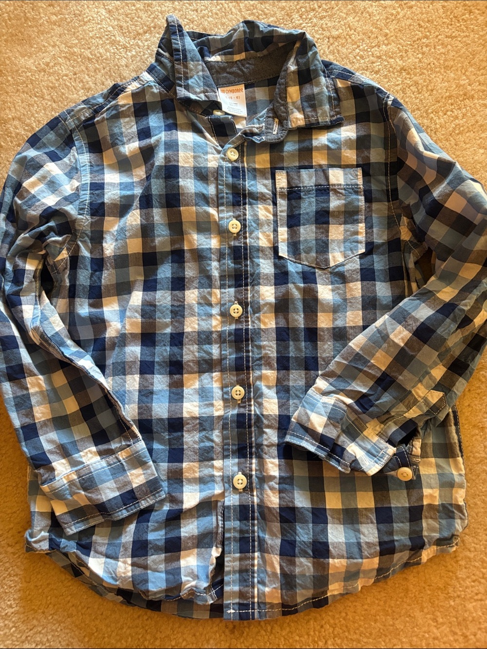 Gymboree Blue and White Plaid Button-Down Shirt